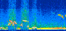 /calipso-imagery/data/BROWSE/production/V5-00/2015-09-27/2015-09-27_22-47-40_V5.00_2_thmb.png image missing