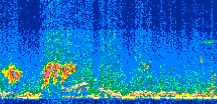 /calipso-imagery/data/BROWSE/production/V5-00/2015-11-09/2015-11-09_00-58-57_V5.00_2_thmb.png image missing