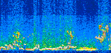 /calipso-imagery/data/BROWSE/production/V5-00/2015-11-09/2015-11-09_02-37-52_V5.00_2_thmb.png image missing