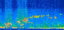 /calipso-imagery/data/BROWSE/production/V5-00/2015-11-09/2015-11-09_04-16-43_V5.00_2_thmb.png image missing