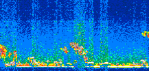 /calipso-imagery/data/BROWSE/production/V5-00/2015-11-09/2015-11-09_07-34-28_V5.00_2_thmb.png image missing
