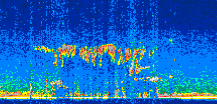 /calipso-imagery/data/BROWSE/production/V5-00/2015-12-01/2015-12-01_01-59-18_V5.00_3_thmb.png image missing