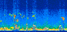 /calipso-imagery/data/BROWSE/production/V5-00/2015-12-01/2015-12-01_03-38-08_V5.00_3_thmb.png image missing