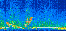 /calipso-imagery/data/BROWSE/production/V5-00/2015-12-01/2015-12-01_06-55-54_V5.00_2_thmb.png image missing