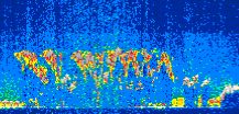 /calipso-imagery/data/BROWSE/production/V5-00/2015-12-01/2015-12-01_06-55-54_V5.00_3_thmb.png image missing