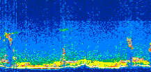 /calipso-imagery/data/BROWSE/production/V5-00/2015-12-01/2015-12-01_10-13-39_V5.00_3_thmb.png image missing