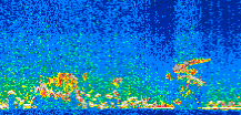 /calipso-imagery/data/BROWSE/production/V5-00/2015-12-01/2015-12-01_15-10-20_V5.00_2_thmb.png image missing