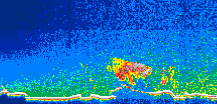 /calipso-imagery/data/BROWSE/production/V5-00/2015-12-09/2015-12-09_01-09-34_V5.00_1_thmb.png image missing