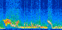 /calipso-imagery/data/BROWSE/production/V5-00/2015-12-09/2015-12-09_01-09-34_V5.00_2_thmb.png image missing
