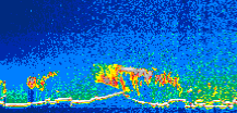 /calipso-imagery/data/BROWSE/production/V5-00/2015-12-09/2015-12-09_02-48-29_V5.00_1_thmb.png image missing