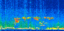 /calipso-imagery/data/BROWSE/production/V5-00/2015-12-09/2015-12-09_02-48-29_V5.00_2_thmb.png image missing