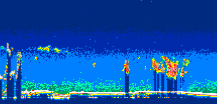 /calipso-imagery/data/BROWSE/production/V5-00/2015-12-09/2015-12-09_06-58-50_V5.00_3_thmb.png image missing