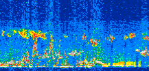 /calipso-imagery/data/BROWSE/production/V5-00/2015-12-09/2015-12-09_07-45-05_V5.00_3_thmb.png image missing