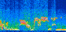 /calipso-imagery/data/BROWSE/production/V5-00/2015-12-09/2015-12-09_11-02-55_V5.00_2_thmb.png image missing