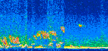 /calipso-imagery/data/BROWSE/production/V5-00/2015-12-09/2015-12-09_12-41-45_V5.00_2_thmb.png image missing