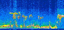 /calipso-imagery/data/BROWSE/production/V5-00/2015-12-09/2015-12-09_17-38-26_V5.00_3_thmb.png image missing