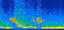 /calipso-imagery/data/BROWSE/production/V5-00/2015-12-09/2015-12-09_22-35-02_V5.00_2_thmb.png image missing