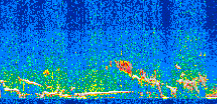 /calipso-imagery/data/BROWSE/production/V5-00/2016-01-04/2016-01-04_03-25-48_V5.00_2_thmb.png image missing