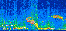/calipso-imagery/data/BROWSE/production/V5-00/2016-01-04/2016-01-04_13-19-09_V5.00_2_thmb.png image missing