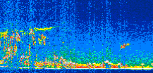 /calipso-imagery/data/BROWSE/production/V5-00/2016-01-04/2016-01-04_16-36-54_V5.00_3_thmb.png image missing