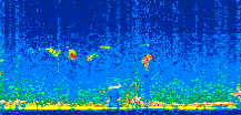 /calipso-imagery/data/BROWSE/production/V5-00/2016-01-04/2016-01-04_21-33-35_V5.00_3_thmb.png image missing