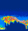 /calipso-imagery/data/BROWSE/production/V5-00/2016-01-15/2016-01-15_10-35-49_V5.00_4_thmb.png image missing