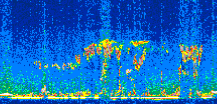 /calipso-imagery/data/BROWSE/production/V5-00/2016-03-28/2016-03-28_01-30-11_V5.00_2_thmb.png image missing