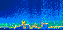 /calipso-imagery/data/BROWSE/production/V5-00/2016-03-28/2016-03-28_04-47-56_V5.00_1_thmb.png image missing