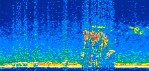 /calipso-imagery/data/BROWSE/production/V5-00/2016-03-28/2016-03-28_09-44-37_V5.00_2_thmb.png image missing