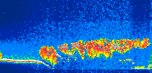 /calipso-imagery/data/BROWSE/production/V5-00/2016-03-28/2016-03-28_13-02-27_V5.00_1_thmb.png image missing