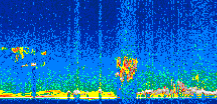 /calipso-imagery/data/BROWSE/production/V5-00/2016-03-28/2016-03-28_14-41-17_V5.00_3_thmb.png image missing