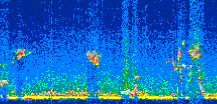 /calipso-imagery/data/BROWSE/production/V5-00/2016-04-02/2016-04-02_21-35-59_V5.00_2_thmb.png image missing