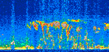 /calipso-imagery/data/BROWSE/production/V5-00/2016-04-03/2016-04-03_02-32-40_V5.00_2_thmb.png image missing