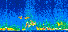 /calipso-imagery/data/BROWSE/production/V5-00/2016-04-03/2016-04-03_23-58-13_V5.00_3_thmb.png image missing