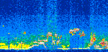 /calipso-imagery/data/BROWSE/production/V5-00/2016-04-11/2016-04-11_08-19-41_V5.00_3_thmb.png image missing