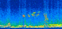 /calipso-imagery/data/BROWSE/production/V5-00/2016-04-11/2016-04-11_14-55-17_V5.00_2_thmb.png image missing