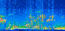 /calipso-imagery/data/BROWSE/production/V5-00/2016-04-11/2016-04-11_16-34-12_V5.00_2_thmb.png image missing