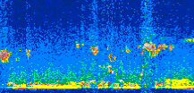 /calipso-imagery/data/BROWSE/production/V5-00/2016-04-11/2016-04-11_19-51-58_V5.00_2_thmb.png image missing
