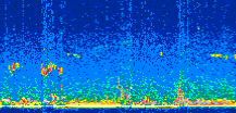 /calipso-imagery/data/BROWSE/production/V5-00/2016-04-11/2016-04-11_23-09-43_V5.00_2_thmb.png image missing