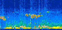/calipso-imagery/data/BROWSE/production/V5-00/2016-04-12/2016-04-12_02-27-34_V5.00_2_thmb.png image missing