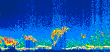 /calipso-imagery/data/BROWSE/production/V5-00/2016-04-12/2016-04-12_18-56-26_V5.00_1_thmb.png image missing