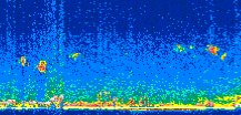 /calipso-imagery/data/BROWSE/production/V5-00/2016-04-13/2016-04-13_09-46-28_V5.00_2_thmb.png image missing