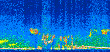 /calipso-imagery/data/BROWSE/production/V5-00/2016-04-14/2016-04-14_13-47-41_V5.00_3_thmb.png image missing