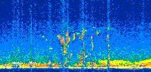 /calipso-imagery/data/BROWSE/production/V5-00/2016-04-17/2016-04-17_09-22-15_V5.00_2_thmb.png image missing