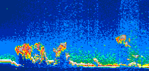 /calipso-imagery/data/BROWSE/production/V5-00/2016-04-17/2016-04-17_15-57-51_V5.00_1_thmb.png image missing
