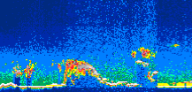 /calipso-imagery/data/BROWSE/production/V5-00/2016-04-17/2016-04-17_20-54-32_V5.00_1_thmb.png image missing