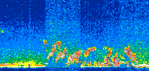 /calipso-imagery/data/BROWSE/production/V5-00/2016-04-21/2016-04-21_00-43-32_V5.00_3_thmb.png image missing
