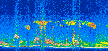 /calipso-imagery/data/BROWSE/production/V5-00/2016-04-21/2016-04-21_12-15-49_V5.00_2_thmb.png image missing