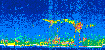/calipso-imagery/data/BROWSE/production/V5-00/2016-04-25/2016-04-25_11-51-31_V5.00_2_thmb.png image missing