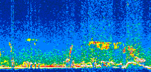 /calipso-imagery/data/BROWSE/production/V5-00/2016-04-25/2016-04-25_15-09-17_V5.00_3_thmb.png image missing